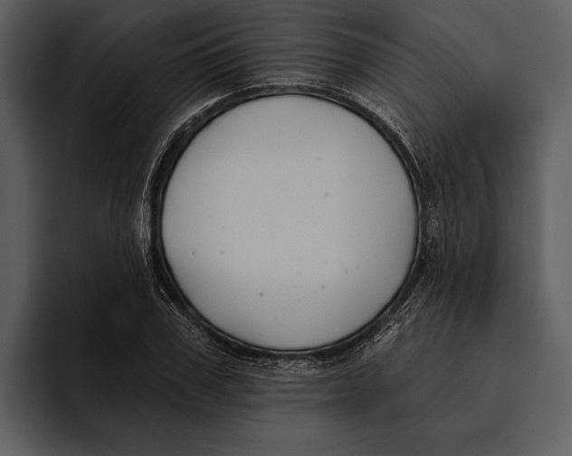 X0000095680979200801291153