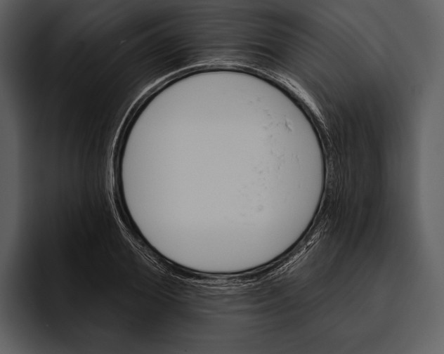 X0000095680980200801291153