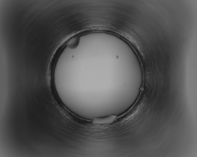 X0000095680981200801291153