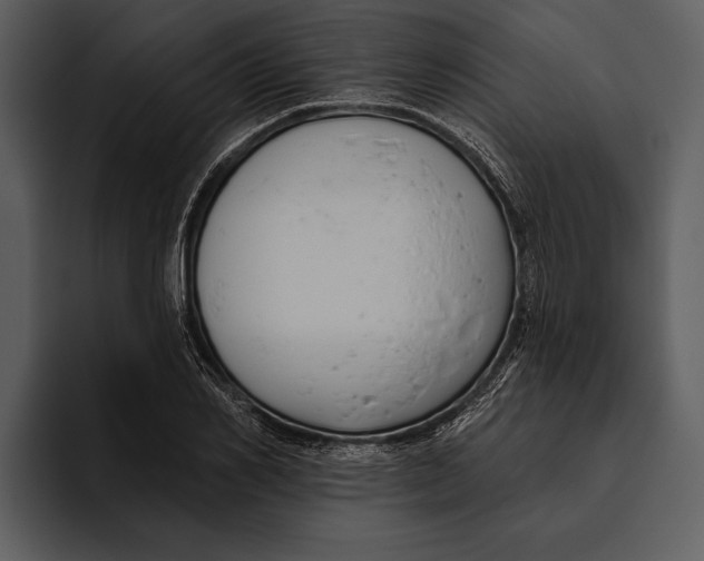 X0000095680982200801291153