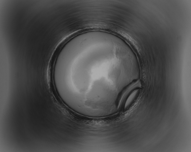 X0000095680983200801291153