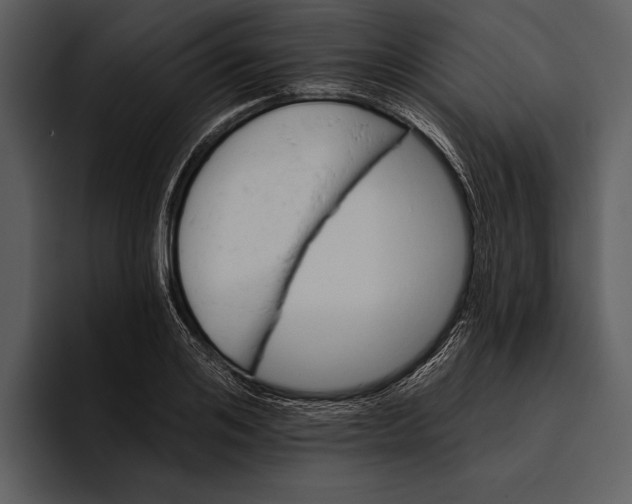 X0000095680984200801291153