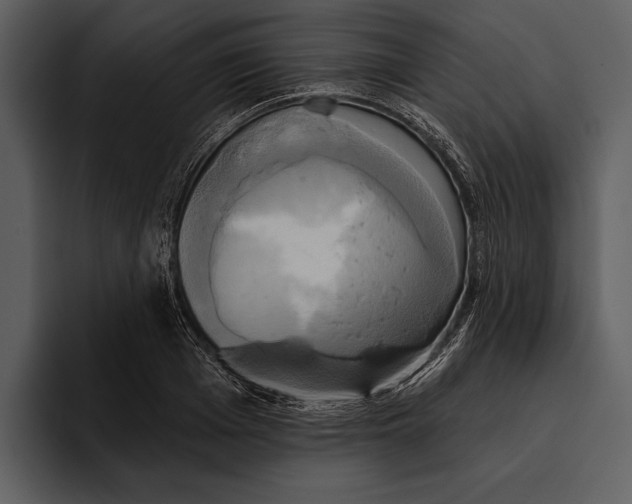 X0000095680985200801291153