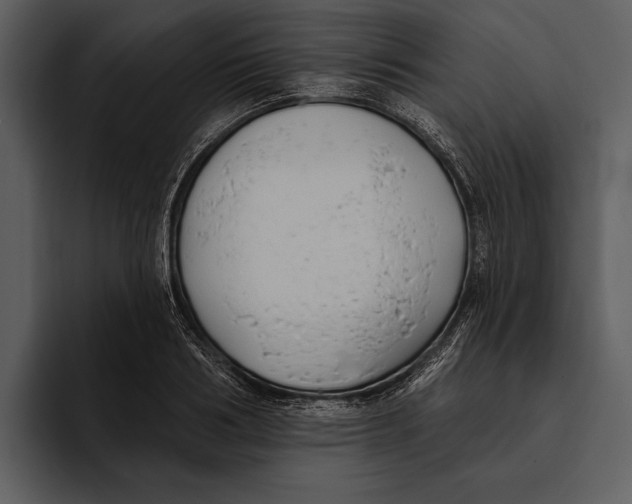 X0000095680986200801291153