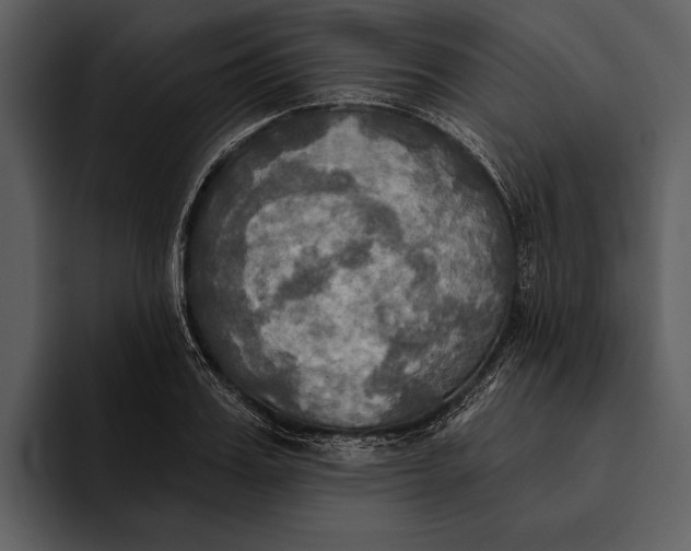 X0000095680987200801291153