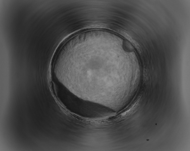 X0000095680988200801291153