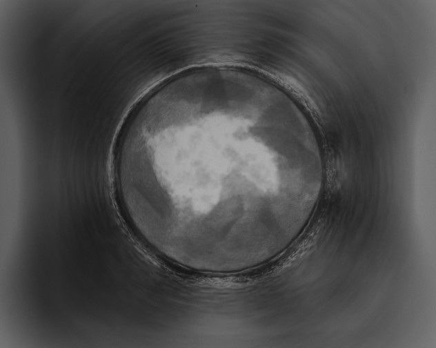 X0000095680990200801291153