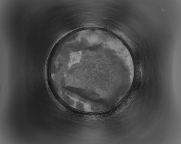 X0000095680991200801291153