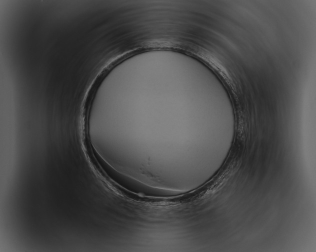 X0000095680992200801291153