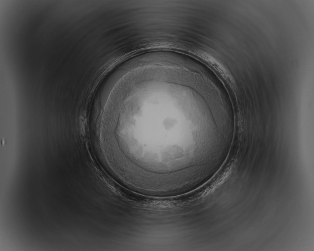 X0000095680993200801291153