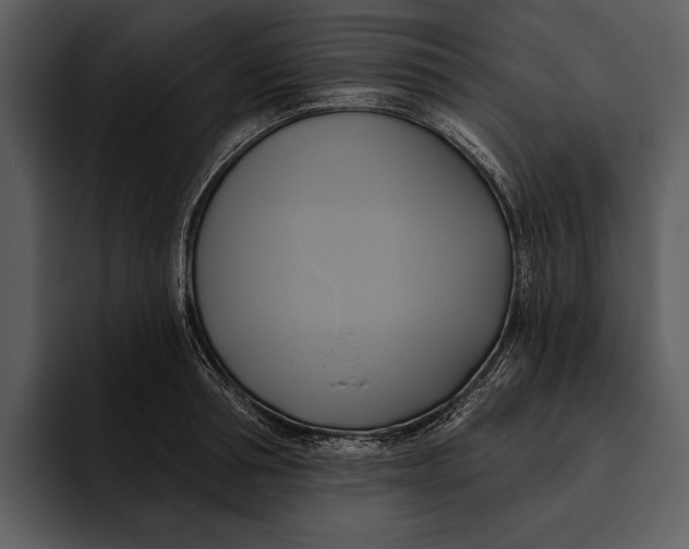 X0000095680994200801291153