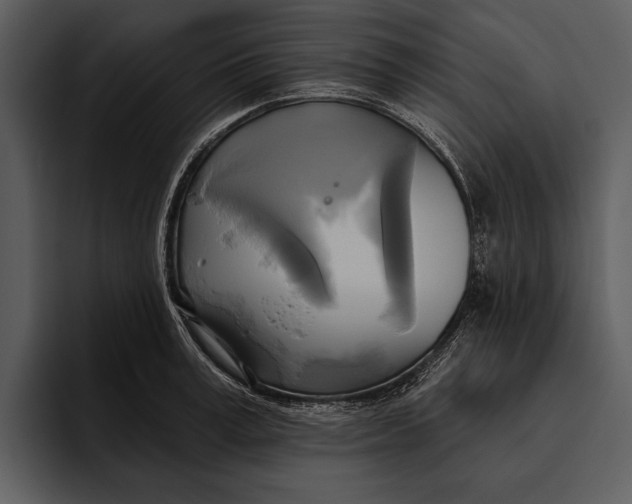 X0000095680995200801291153