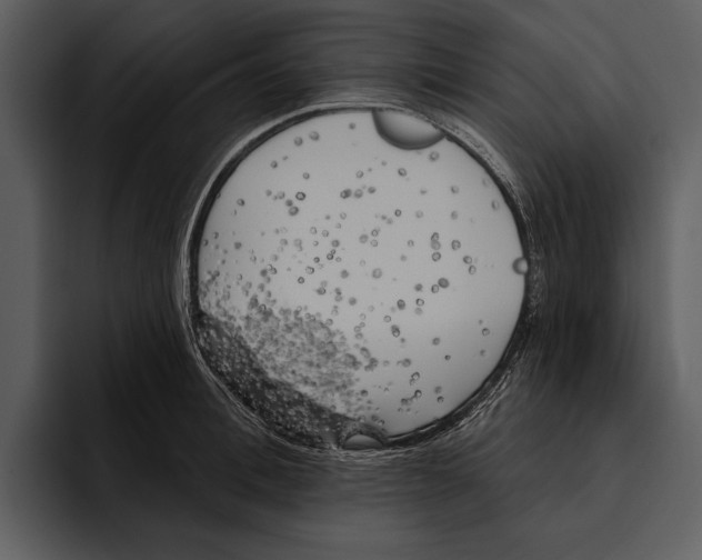 X0000095680996200801291153