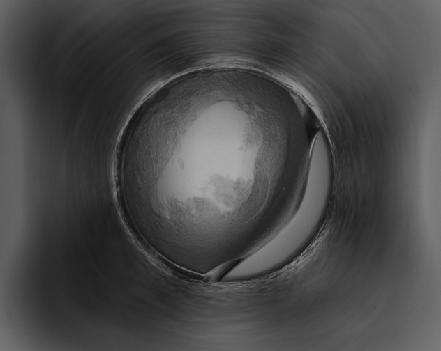 X0000095680997200801291153