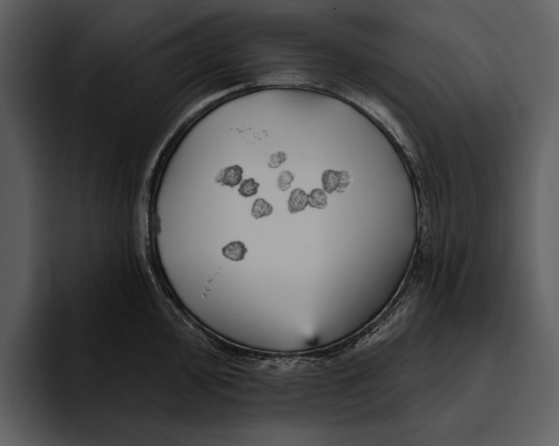 X0000095681000200801291153