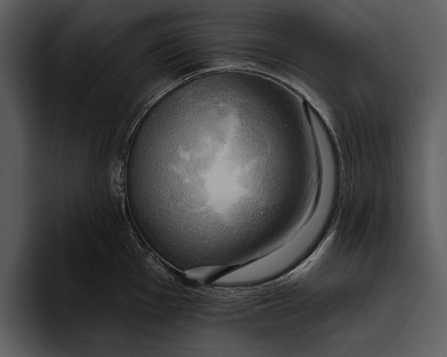 X0000095681001200801291153