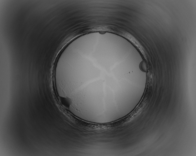 X0000095681002200801291153