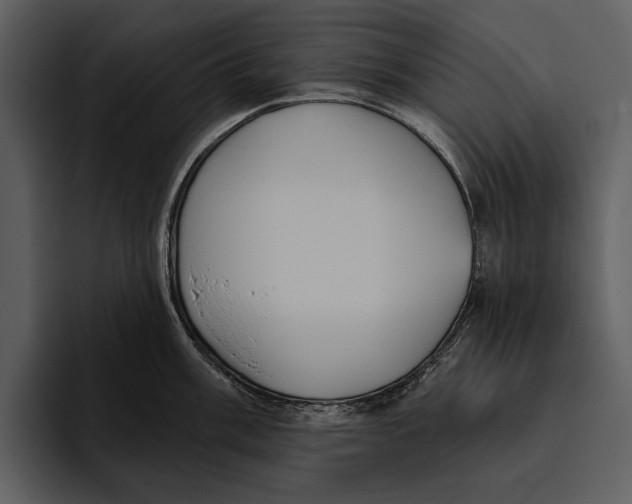 X0000095681003200801291153