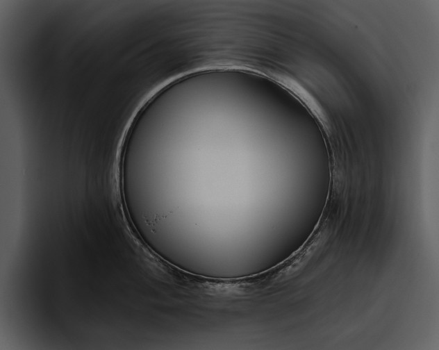 X0000095681004200801291153