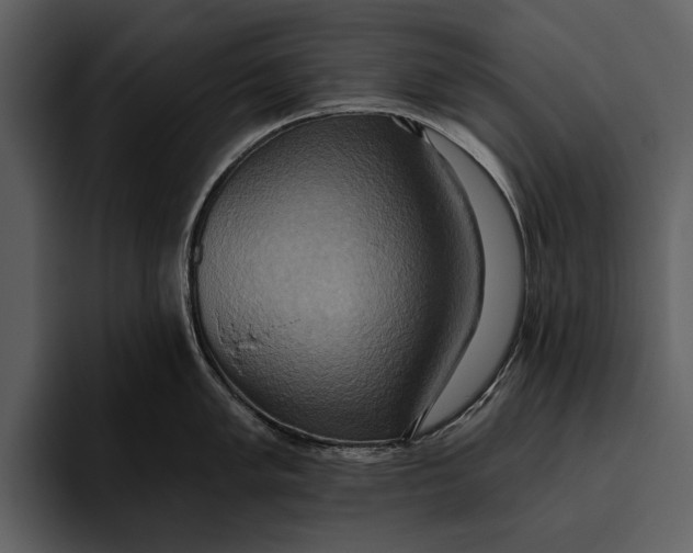 X0000095681005200801291153