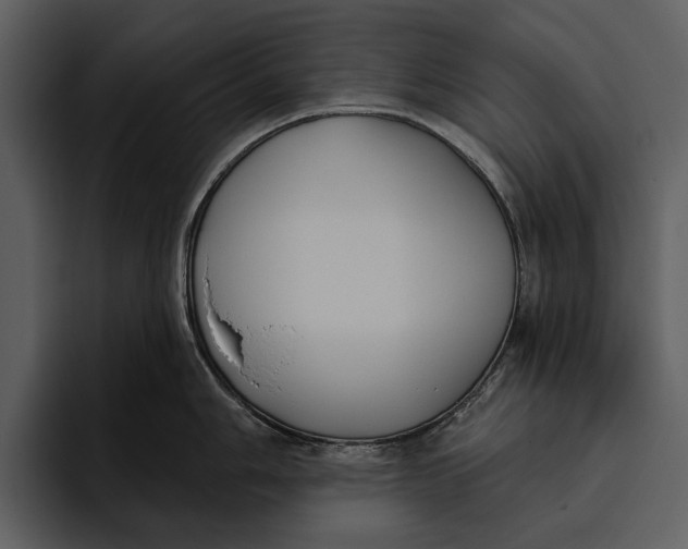 X0000095681006200801291153