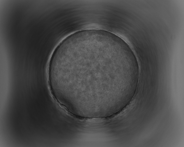 X0000095681008200801291153