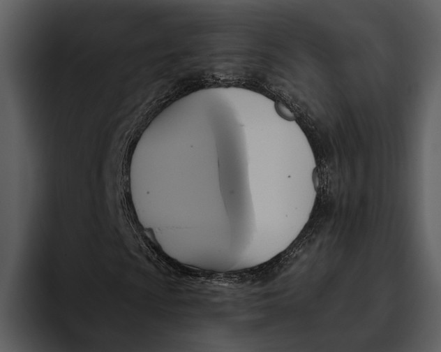 X0000095681009200801291152