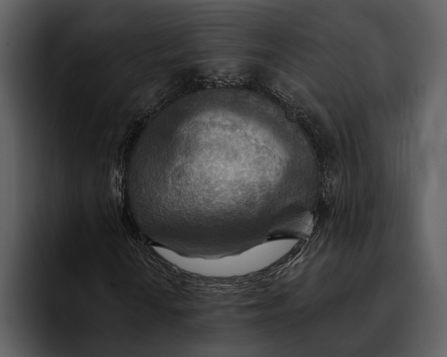 X0000095681010200801291152