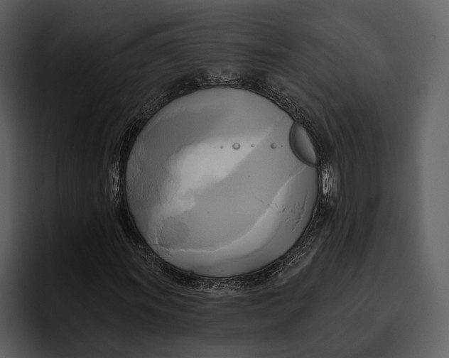 X0000095681011200801291152