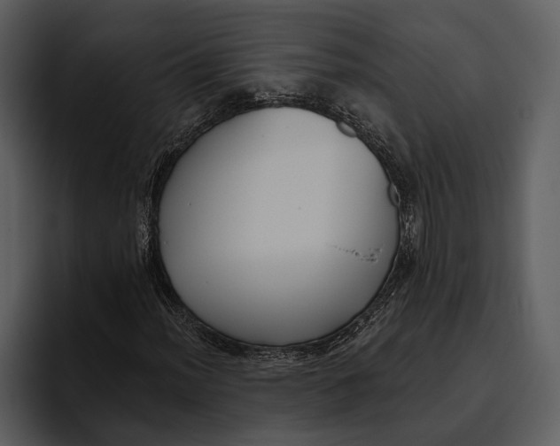 X0000095681012200801291152