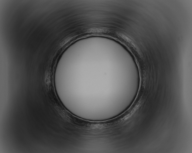 X0000095681017200801291152