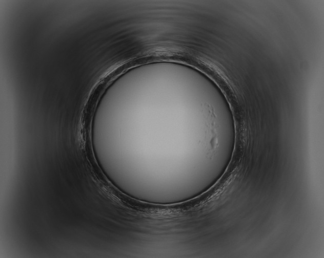 X0000095681018200801291152