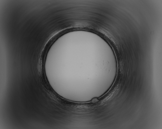 X0000095681021200801291152