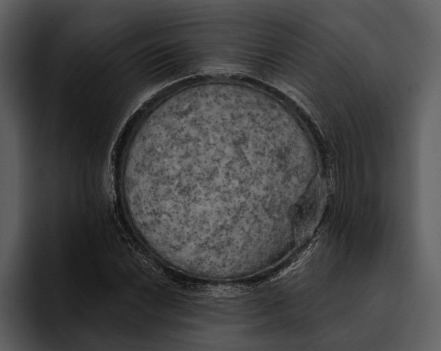 X0000095681022200801291152