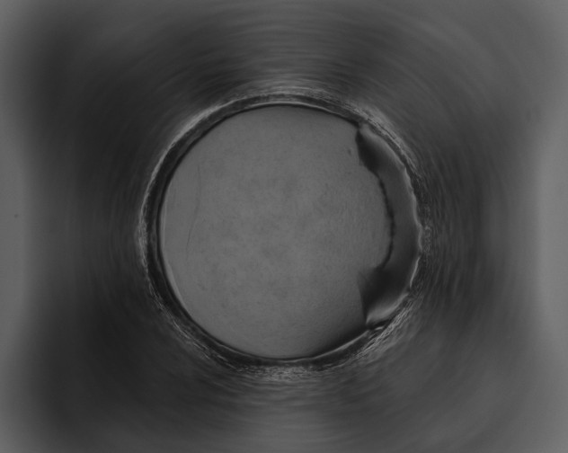 X0000095681024200801291152