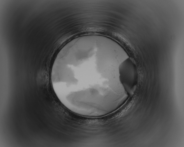 X0000095681025200801291152