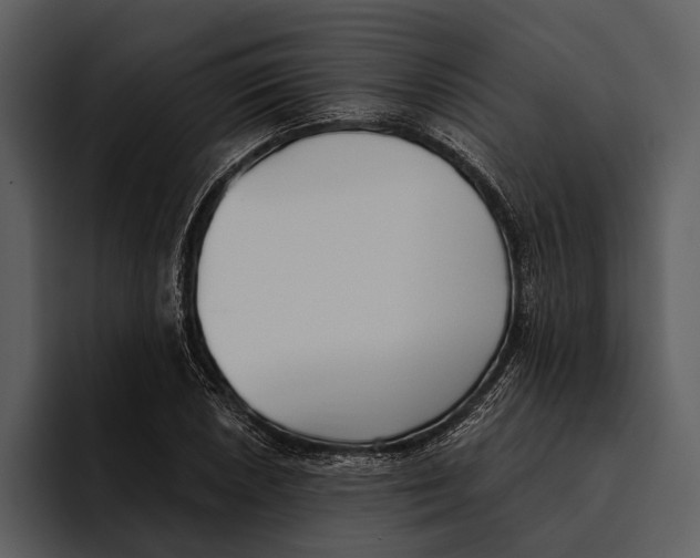 X0000095681026200801291153