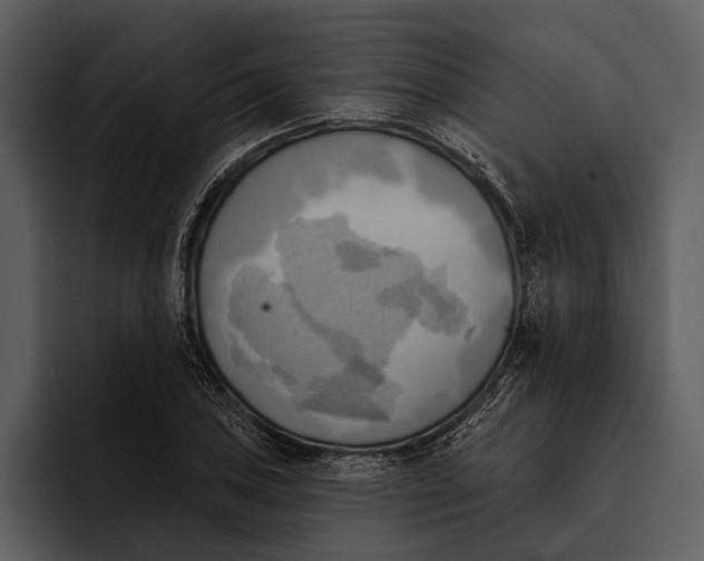 X0000095681027200801291153