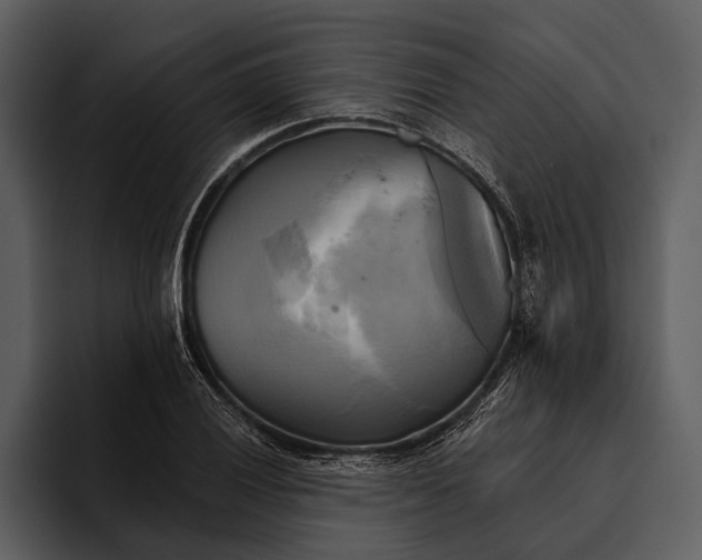 X0000095681028200801291153