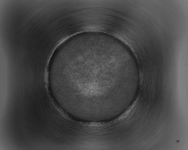 X0000095681029200801291153