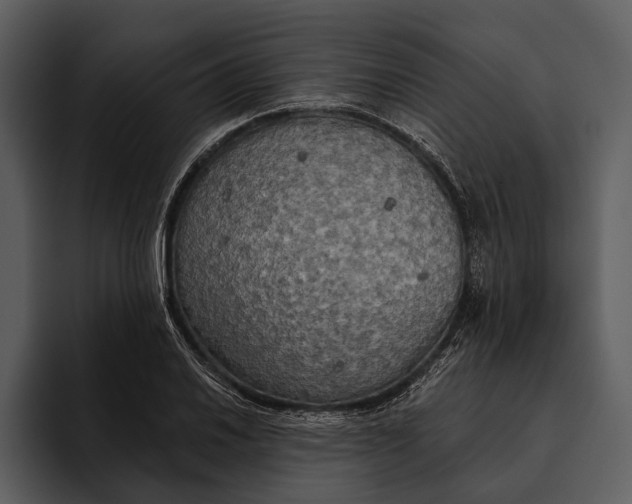 X0000095681030200801291153