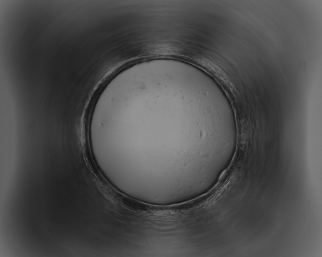 X0000095681031200801291153