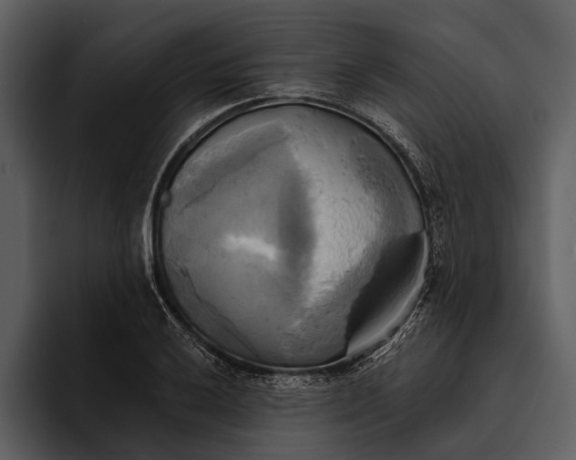 X0000095681032200801291153