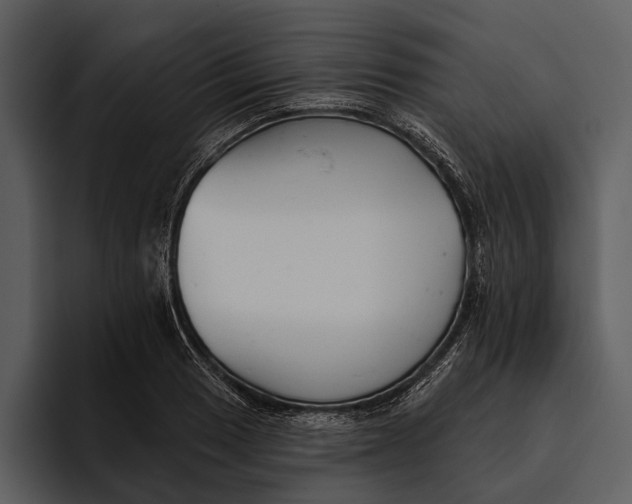 X0000095681033200801291153