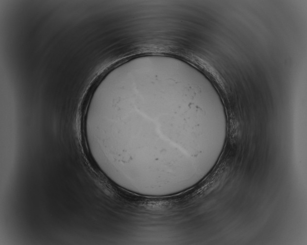 X0000095681035200801291153