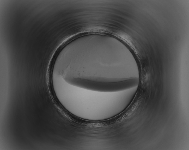 X0000095681037200801291153