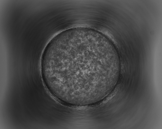 X0000095681038200801291153