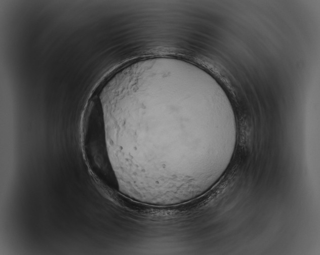 X0000095681039200801291153