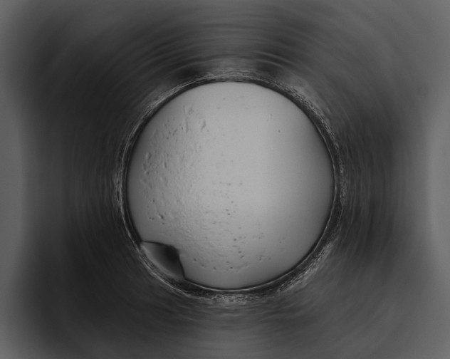 X0000095681041200801291153