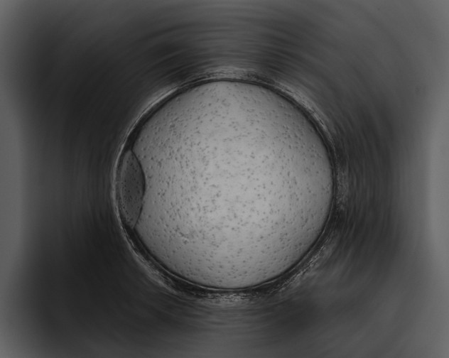 X0000095681042200801291153